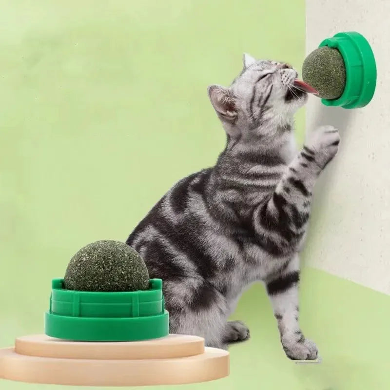 Mint Ball Cat Teeth Cleaning Toy – Catnip Chew Ball for Fun & Dental Health