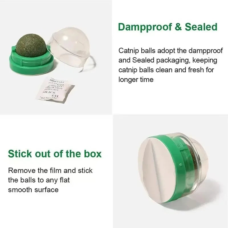 Mint Ball Cat Teeth Cleaning Toy – Catnip Chew Ball for Fun & Dental Health