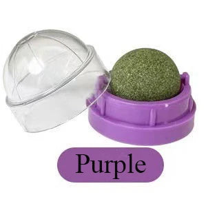 Mint Ball Cat Teeth Cleaning Toy – Catnip Chew Ball for Fun & Dental Health