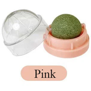 Mint Ball Cat Teeth Cleaning Toy – Catnip Chew Ball for Fun & Dental Health